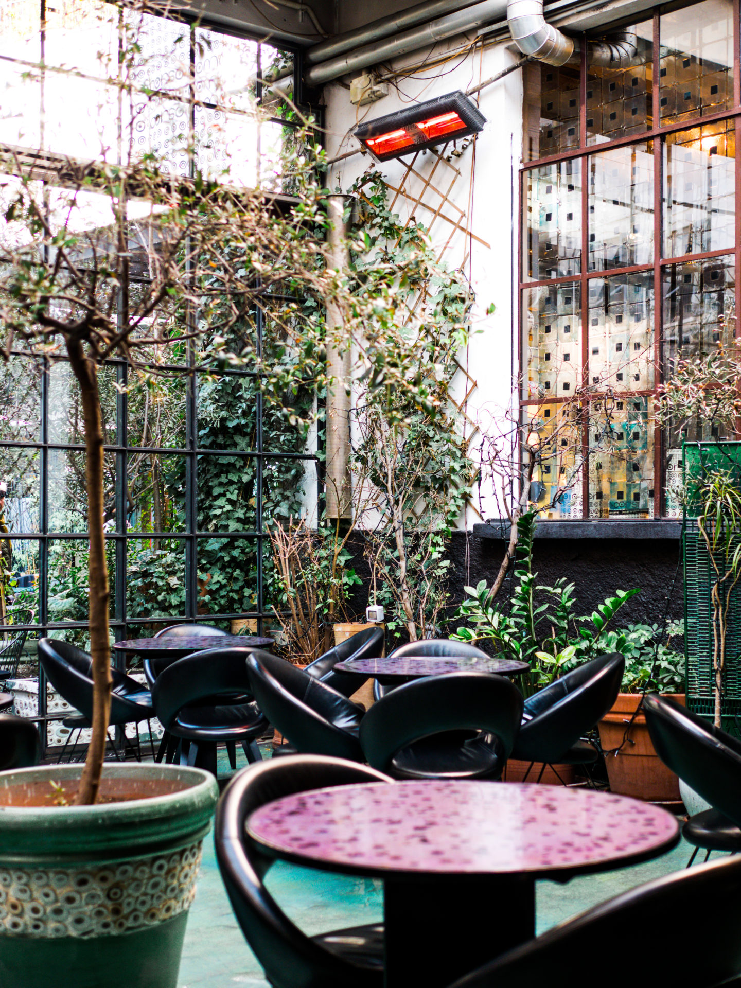 corso como trishina